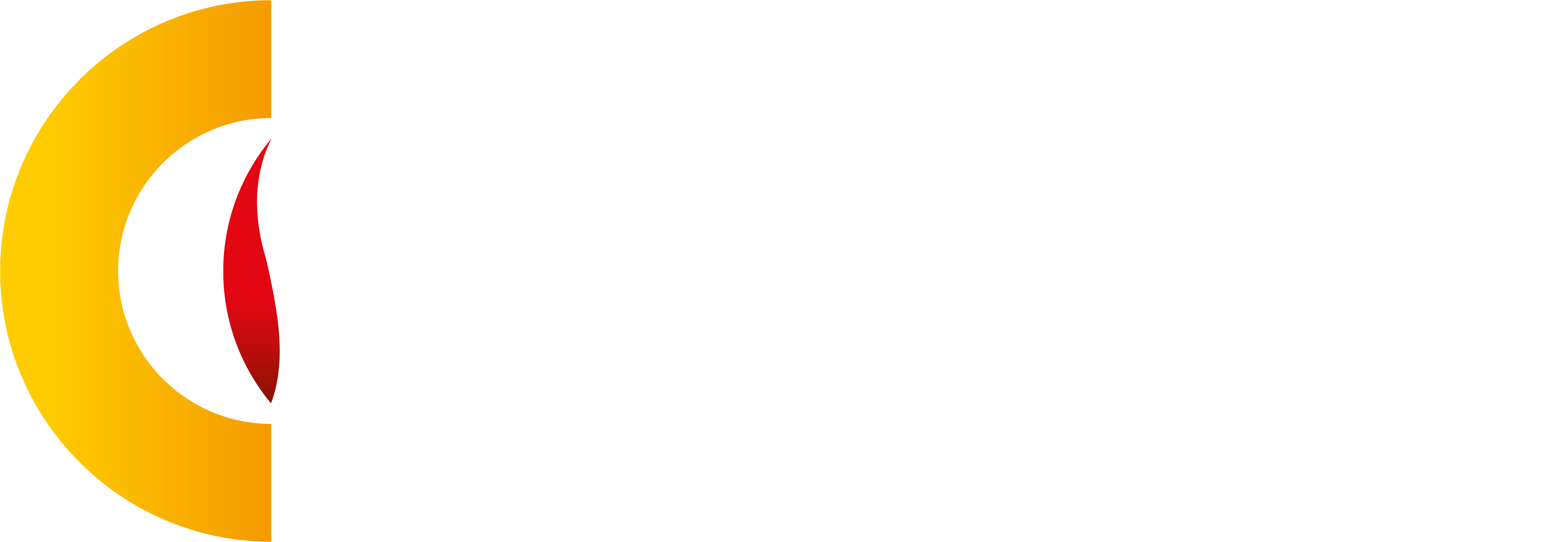 Les Maîtres du Feu – Cheminée – Poêle à bois – Poêle à granulés – Montauban 82